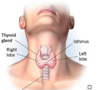 Home thyroid treatment